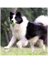 Load image into Gallery viewer, Chewtastic Geometrics, interaktīva gumijas manta sunim, var piepildīt