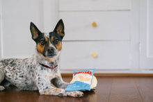 Load image into Gallery viewer, P.L.A.Y. Snack Attack Fluffles Chips, Čipsu paka, Fin-n-Seek, čaukst un pīkst