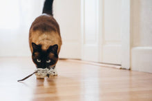 Load image into Gallery viewer, PLAY Feline Frenzy Catch a Meowse, čaukstošas pelītes ar kaķumētru, ko var papildināt, brūna & pelēka, 2 gab.