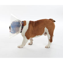 Load image into Gallery viewer, BUSTER pēcoperāciju apkakle brahiocefāliskiem suņiem