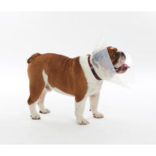 Load image into Gallery viewer, BUSTER pēcoperāciju apkakle brahiocefāliskiem suņiem
