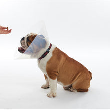 Load image into Gallery viewer, BUSTER pēcoperāciju apkakle brahiocefāliskiem suņiem