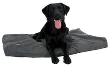 Load image into Gallery viewer, BUSTER Memory Foam, ortopēdiska gulta suņiem ar maināmu mikrošķiedras pārvalku, 120 x 100 cm