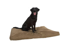 Load image into Gallery viewer, BUSTER Memory Foam, ortopēdiska gulta suņiem ar maināmu mikrošķiedras pārvalku, 120 x 100 cm