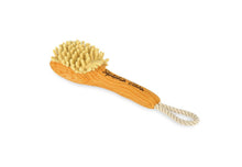 Load image into Gallery viewer, P.L.A.Y. Splish Splash Bark n' Bristles, Mazgāšanās birste, čaukst, pīkst, izturīga virve