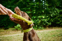 Load image into Gallery viewer, LABONI Gretchen Giraffe, kokvilnas virves rotaļlieta sunim, Žirafe, S, dzeltena, 26 cm