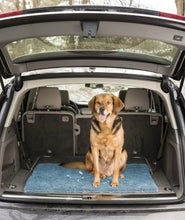 Load image into Gallery viewer, Dog Gone Smart Dirty Dog Doormat Runner, superabsorbējošs mikrošķiedras paklājs, īpaši garš, 152 x 76 cm