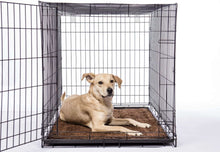 Load image into Gallery viewer, Dog Gone Smart Dirty Dog Doormat Runner, superabsorbējošs mikrošķiedras paklājs, īpaši garš, 152 x 76 cm