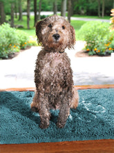 Load image into Gallery viewer, Dog Gone Smart Dirty Dog Doormat Runner, superabsorbējošs mikrošķiedras paklājs, īpaši garš, 152 x 76 cm