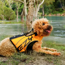 Load image into Gallery viewer, EZYDOG DFD X2 Boost peldveste sunim, izmērs M, 18 - 27 kg
