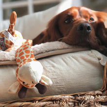 Load image into Gallery viewer, KONG Danglers Giraffe, Žirafe, 30 cm garš, čaukstošs kals, 2 pīkstuļi