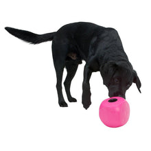 Load image into Gallery viewer, BUSTER Food Cube