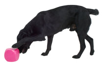 Load image into Gallery viewer, BUSTER Mini Food Cube