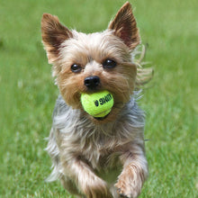 Load image into Gallery viewer, KONG Airdog SqueakAir Balls, S izmērs, 3 gab.