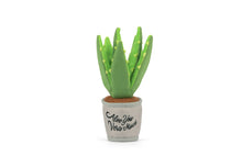Load image into Gallery viewer, PLAY Blooming Buddies Aloe-ve You Plant, alveja puķupodā, čaukst, ar kustību skaņu, 24 cm
