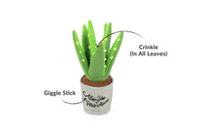 Load image into Gallery viewer, PLAY Blooming Buddies Aloe-ve You Plant, alveja puķupodā, čaukst, ar kustību skaņu, 24 cm