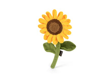 Load image into Gallery viewer, PLAY Blooming Buddies Sassy Sunflower, saulespuķe, iestrādāta virve, čaukst, 25 cm, BONUSĀ - pīkstoša sensorā bumba