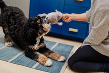 Load image into Gallery viewer, PLAY Big Five of Africa Rhino, degunradzis, milzīgs pīkstošs vēders, velkamas pakaļkājas, 25 cm