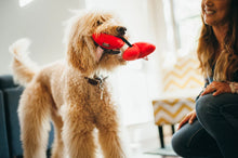 Load image into Gallery viewer, PLAY Puppy Love Fur-Ever Hearts - divas sirsniņas ar virves bultu.