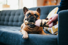 Load image into Gallery viewer, PLAY Puppy Love Burking Bubbly - šampanieša pudele