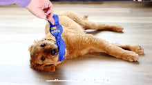 Load image into Gallery viewer, KONG Wubba Dog, pīkstoša manta sunim, S izmērs