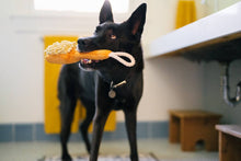 Load image into Gallery viewer, P.L.A.Y. Splish Splash Bark n' Bristles, Mazgāšanās birste, čaukst, pīkst, izturīga virve