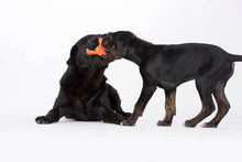 Load image into Gallery viewer, LABONI Kristof Krabbe, kokvilnas virves rotaļlieta sunim, Krabis, oranžs, 12 cm