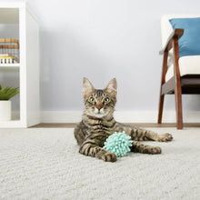 Load image into Gallery viewer, KONG Cat Moppy Ball, graboša mīksta bumbiņa ar spurekļiem, ar kaķumētru