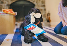 Load image into Gallery viewer, P.L.A.Y. Snack Attack Fluffles Chips, Čipsu paka, Fin-n-Seek, čaukst un pīkst
