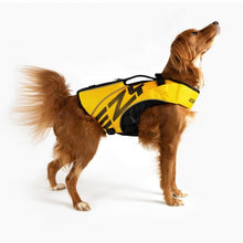 Load image into Gallery viewer, EZYDOG DFD 2X Boost peldveste sunim 9 - 20 kg, izmērs S