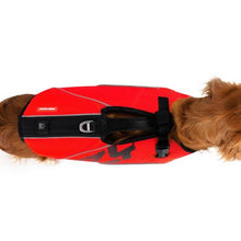 Load image into Gallery viewer, EZYDOG DFD 2X Boost peldveste sunim 9 - 20 kg, izmērs S