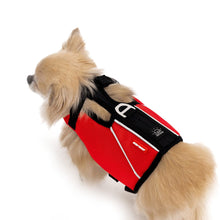 Load image into Gallery viewer, EZYDOG DFD X2 Boost peldveste sunim, izmērs M, 18 - 27 kg
