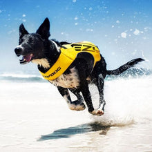 Load image into Gallery viewer, EZYDOG DFD 2X Boost peldveste sunim 9 - 20 kg, izmērs S