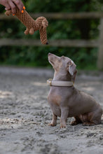 Load image into Gallery viewer, LABONI Teddy Grey, kokvilnas virves rotaļlieta sunim, Taksītis, brūns, 28 cm