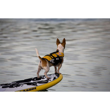 Load image into Gallery viewer, EZYDOG DFD Micro peldveste sunim, 1-7 kg, izmērs MXS