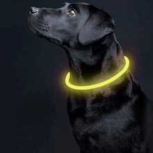Load image into Gallery viewer, LED gaismas apkakle, lādējama USB, trīs gaismas režīmi, izmērs pielāgojams