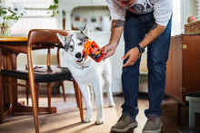 Load image into Gallery viewer, P.L.A.Y. International Classic Slup it Up, Nūdeļu bļoda, čaukst un pīkst