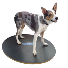 Load image into Gallery viewer, FitPAWS Wobble Board, līdzsvara-balansēšanas disks Ø 50 cm