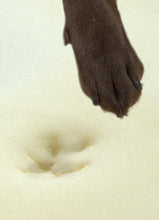 Load image into Gallery viewer, BUSTER Memory Foam, ortopēdiska gulta suņiem ar maināmu mikrošķiedras pārvalku, 100 x 70 cm