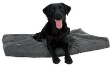 Load image into Gallery viewer, BUSTER Memory Foam, ortopēdiska gulta suņiem ar maināmu mikrošķiedras pārvalku, 100 x 70 cm