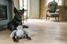 Load image into Gallery viewer, PLAY Willow's Mythical Yeti, sniega cilvēks, 5 pīkstuļi dažādās skaņās, čaukst, 23x29cm