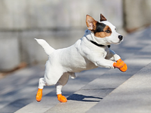 Load image into Gallery viewer, PAWZ gumijas suņu zābaki, 12 gab.