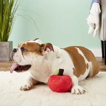Load image into Gallery viewer, PLAY Garden Fresh Apple - Ābols