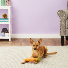 Load image into Gallery viewer, PLAY Garden Fresh Carrot - Burkāns