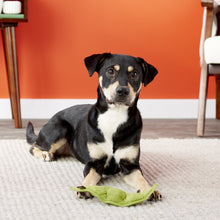 Load image into Gallery viewer, PLAY Garden Fresh Peapod - Zirņu pāksts