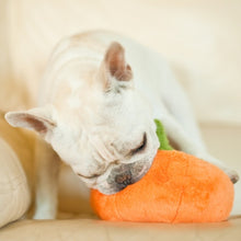 Load image into Gallery viewer, PLAY Garden Fresh Pumpkin - Ķirbis