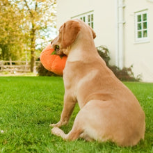 Load image into Gallery viewer, PLAY Garden Fresh Pumpkin - Ķirbis