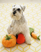 Load image into Gallery viewer, PLAY Garden Fresh Pumpkin - Ķirbis