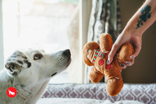 Load image into Gallery viewer, PLAY Holiday Classic Gingerbread man - Piparkūkas vīriņš