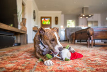 Load image into Gallery viewer, PLAY Willow's Mythical Gnome, rūķis, pīkst, čaukst, velkamas virves kājas un rokas, BONUSĀ - pīkstoša sensorā bumba, 10 cm